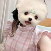 ヒメ日記 2026/04/15 12:21 投稿 えり コンカフェ×オナクラ ＠LOVE渋谷店