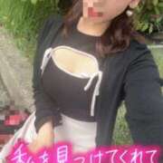 ヒメ日記 2026/09/13 08:41 投稿 うた 逢って30秒で即尺