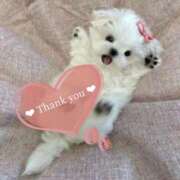 ヒメ日記 2026/04/15 19:03 投稿 ゆうあ 渋谷じゃっくす