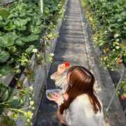 ヒメ日記 2026/04/10 03:52 投稿 あゆ 素人美少女専門　新横浜アンジェリーク（アンジェリークグループ）