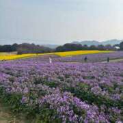 ヒメ日記 2026/04/12 03:02 投稿 あゆ 素人美少女専門　新横浜アンジェリーク（アンジェリークグループ）