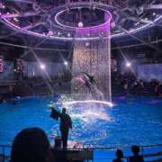 ヒメ日記 2026/04/08 16:33 投稿 すみれ あふたーすくーる本店