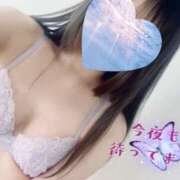 ヒメ日記 2026/04/22 00:13 投稿 すみれ Club Paradise（クラブパラダイス）