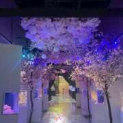 ヒメ日記 2026/04/19 16:35 投稿 ゆめな♡極上SPコース♡ PANTHER（パンサー）