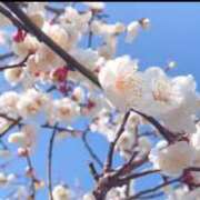 ヒメ日記 2026/04/09 10:14 投稿 大塚ゆりこ プランタン大塚