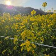 ヒメ日記 2026/04/11 08:32 投稿 大塚ゆりこ プランタン大塚