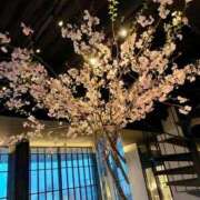 ヒメ日記 2026/04/07 23:38 投稿 れい Salon du M-えっちなお姉さんのM性感デリバリー-五反田店