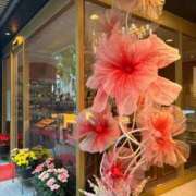 ヒメ日記 2026/04/08 17:38 投稿 れい Salon du M-えっちなお姉さんのM性感デリバリー-五反田店