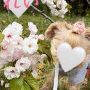 ヒメ日記 2026/04/11 17:38 投稿 れい Salon du M-えっちなお姉さんのM性感デリバリー-五反田店