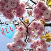 ヒメ日記 2026/04/14 16:00 投稿 れい Salon du M-えっちなお姉さんのM性感デリバリー-五反田店