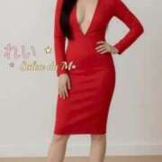 ヒメ日記 2026/04/23 15:58 投稿 れい Salon du M-えっちなお姉さんのM性感デリバリー-五反田店