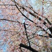 ヒメ日記 2026/04/26 18:38 投稿 えな 恋愛マット同好会