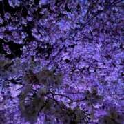 ヒメ日記 2026/04/11 12:08 投稿 月島るる 淫乱OL派遣商社 斉藤商事