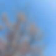 ヒメ日記 2026/04/12 22:26 投稿 新入生 なな 青チェと赤チェ