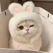 ヒメ日記 2026/04/19 23:16 投稿 ルカ エピソード(品川)