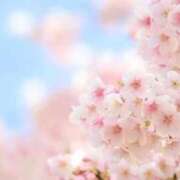 新人・由羽(ゆう) はじめまして♡ グランドオペラ福岡