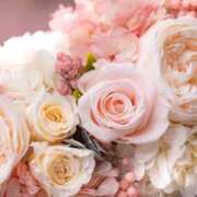 新人・由羽(ゆう) お礼💐 グランドオペラ福岡