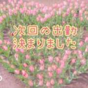 ヒメ日記 2026/04/09 22:55 投稿 みお　体験入店 夢の国デリランド