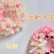 ヒメ日記 2026/04/13 11:55 投稿 みお　体験入店 夢の国デリランド