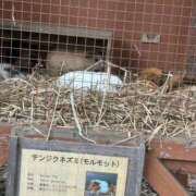 るる ????? CUTE