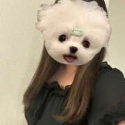 ヒメ日記 2026/07/17 17:52 投稿 さとみ かりんと池袋東口店