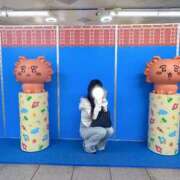 ヒメ日記 2026/04/12 17:02 投稿 うどん ワンダーホール24in幕張