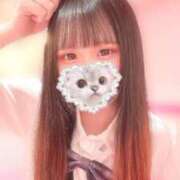 ここあ ♡とーちゃくー♡ シルクハット