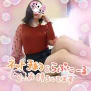 なるみ こんな子好き？ 横浜ひよこ倶楽部