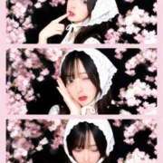 ヒメ日記 2026/04/11 11:15 投稿 冬月あむ Finemotion