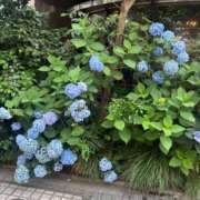 ヒメ日記 2026/06/14 06:30 投稿 冬月あむ Finemotion
