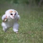 ヒメ日記 2026/04/08 18:32 投稿 かえで 淫乱痴女エステ