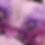 ヒメ日記 2026/06/25 21:37 投稿 由香奈（ゆかな） 東金人妻花壇