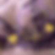 ヒメ日記 2026/07/16 00:18 投稿 由香奈（ゆかな） 東金人妻花壇