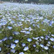 ヒメ日記 2026/05/13 22:44 投稿 前園さゆ 手コキ研修塾