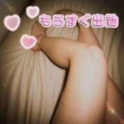 ヒメ日記 2026/07/09 12:02 投稿 しき ちゃんこ大阪