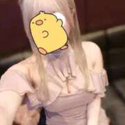 まりん 三ᓚᘏᗢ❕ Luminous