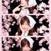 ヒメ日記 2026/04/28 20:04 投稿 月野れいら ブルーバード