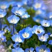 ヒメ日記 2026/04/20 09:49 投稿 みゆき 完熟ばなな 谷九店