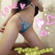 ヒメ日記 2026/04/10 12:26 投稿 橘しずく セクシーキャット 神田店