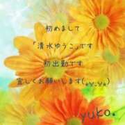 ヒメ日記 2026/04/07 10:43 投稿 清水ゆうこ 熟女パラダイス岐阜羽島店（カサブランカグループ）