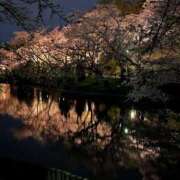 ヒメ日記 2026/04/09 15:08 投稿 えりこ 浜松人妻なでしこ(カサブランカグループ)