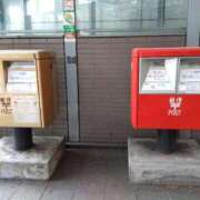 紫野宮　すず 必要・・・ しこたま奥様 札幌店