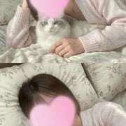 ヒメ日記 2026/04/14 20:20 投稿 さんご 京都出張メンズエステChou Chou（シュシュ)