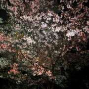 モモ【瞳に魅惑♥虜に注意】 お花見 ドMなバニーちゃん和歌山店