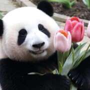 ヒメ日記 2026/04/23 10:05 投稿 モモ【瞳に魅惑♥虜に注意】 ドMなバニーちゃん和歌山店