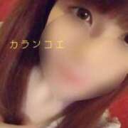 ヒメ日記 2026/05/03 09:11 投稿 カランコエ 飾窓