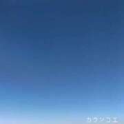 ヒメ日記 2026/05/26 23:46 投稿 カランコエ 飾窓