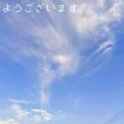 ヒメ日記 2026/06/01 08:37 投稿 カランコエ 飾窓