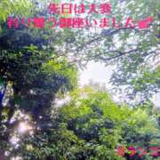 ヒメ日記 2026/07/11 23:53 投稿 カランコエ 飾窓