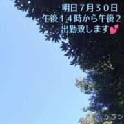 ヒメ日記 2026/07/29 17:17 投稿 カランコエ 飾窓
